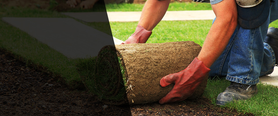 Rossville Landscapers